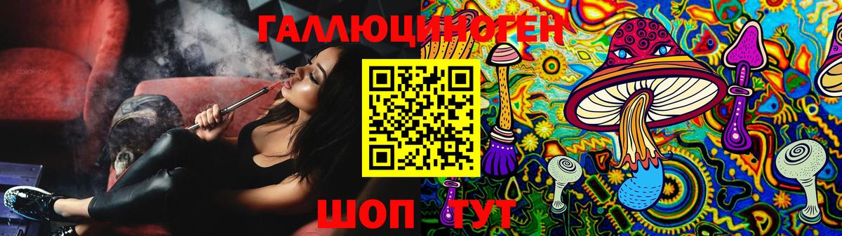 Полысаево  Псилоцибиновые грибы Psilocybe  Вход с VPN 