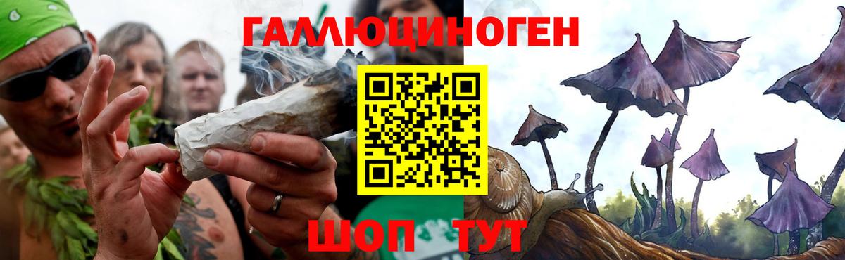 Галлюциногенные грибы GOLDEN TEACHER Полысаево